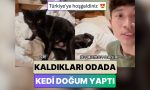 kapadokyada-tatil-yapan-cinli-ikili-beklenmedik-surpriz-bir-kedi-kaldiklari-odada-dogum-yapti-NFu9MZ8U.jpg