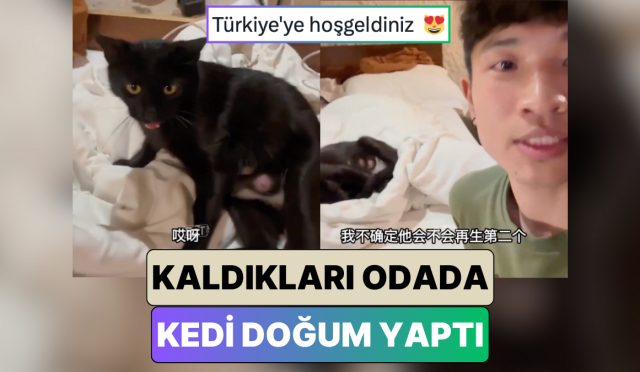 kapadokyada-tatil-yapan-cinli-ikili-beklenmedik-surpriz-bir-kedi-kaldiklari-odada-dogum-yapti-NFu9MZ8U.jpg