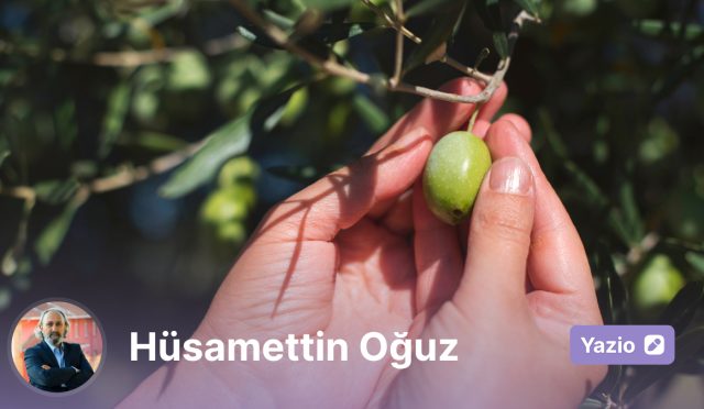 kaz-daglarinin-zeytin-kissasi-zeytinimedokunma-X7p7V8wO.jpg