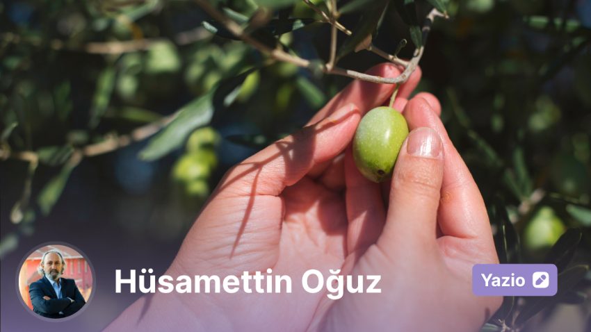 Kaz Dağlarının Zeytin Kıssası: #ZeytinimeDokunma
