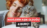 kediseverligiyle-meshur-4-burc-bu-burclar-kedilerle-zimn-bag-kuruyor-X9wjIbve.jpg
