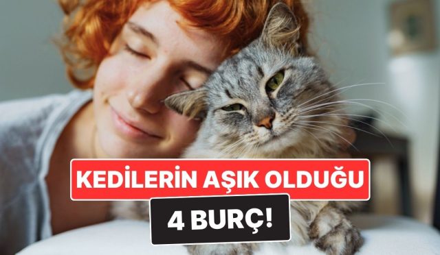 kediseverligiyle-meshur-4-burc-bu-burclar-kedilerle-zimn-bag-kuruyor-X9wjIbve.jpg