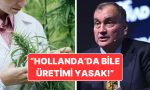 murat-ulkerden-milletvekillerine-davet-kenevir-maddesine-hayir-deyin-NUEP6X1z.jpg