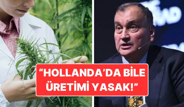 murat-ulkerden-milletvekillerine-davet-kenevir-maddesine-hayir-deyin-NUEP6X1z.jpg