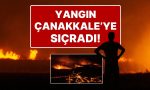 tekirdag-sarkoydeki-yangin-gitgide-buyuyor-yangin-canakkaleye-de-sicradi-MDa8F19P.jpg