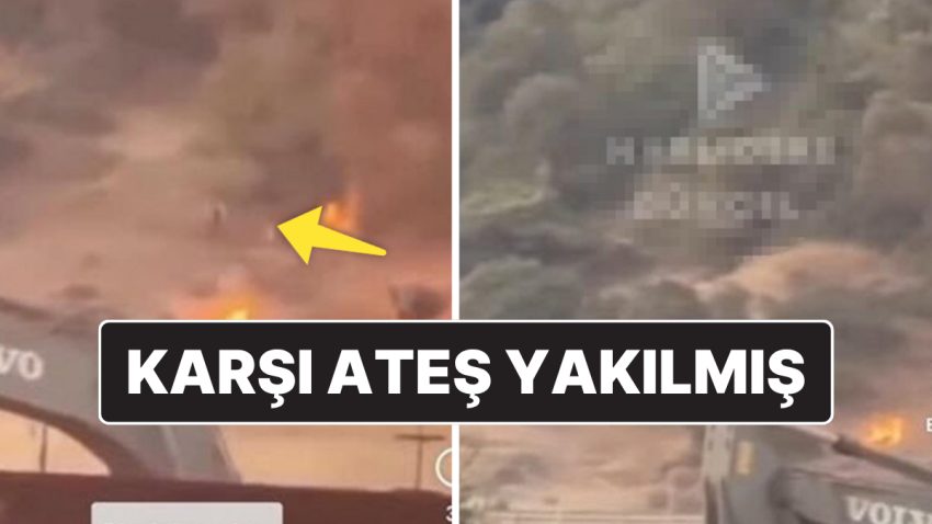 Türkiye’de Birçok Bölgede Orman Yangını: OGM “Çakmakla Yangın Bilerek Çıkarıldı” Tezini Yalanladı