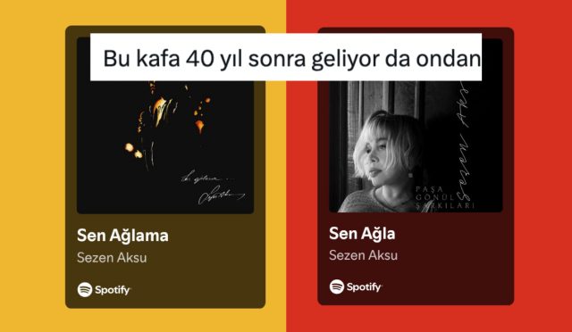 yeni-albumuyle-40-yil-sonra-sen-agla-diyerek-fikir-degistiren-sezen-aksu-toplumsal-medyanin-L4gBubu4.jpg