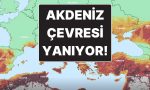 akdeniz-etrafinda-tehlike-buyuk-turkiyede-orman-yanginlari-icin-en-riskli-bolgeler-muhakkak-oldu-JNrUDYHw.jpg