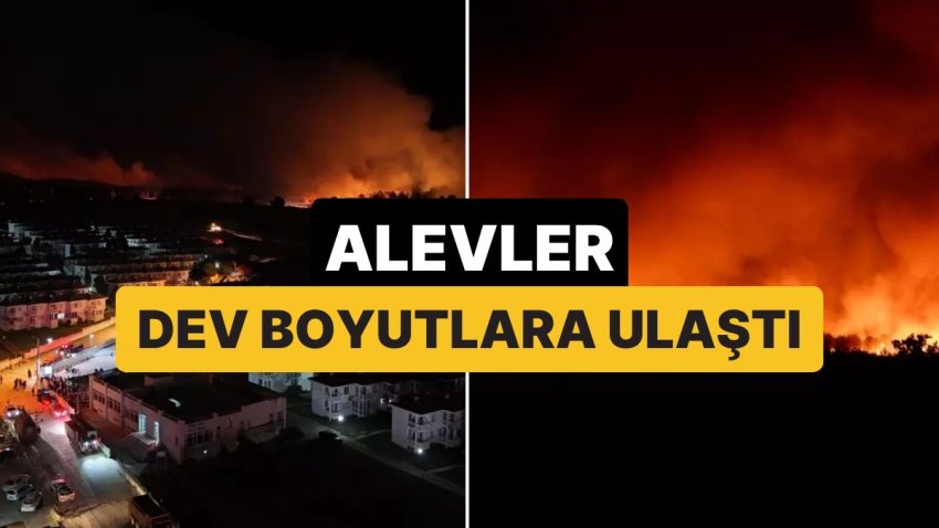 Alevler Dev Boyutlara Ulaştı: Çanakkale ve Edirne’deki Orman Yangınları Devam Ediyor