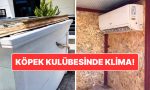 asirici-sicaklarda-kopek-dostunu-unutmadi-antalyada-kopek-kulubesine-klima-takildi-OqKdu1XD.jpg