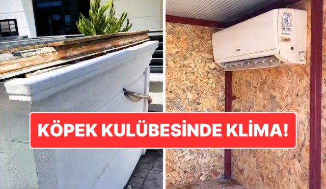 asirici-sicaklarda-kopek-dostunu-unutmadi-antalyada-kopek-kulubesine-klima-takildi-OqKdu1XD.jpg