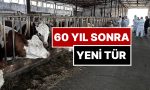 bakandan-huzursuz-eden-aciklama-sap-hastaliginin-yeni-tipi-60-sene-sonra-birinci-kere-goruldu-HTdpAEVW.jpg