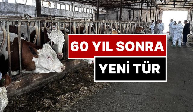 bakandan-huzursuz-eden-aciklama-sap-hastaliginin-yeni-tipi-60-sene-sonra-birinci-kere-goruldu-HTdpAEVW.jpg