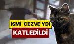 basaksehirde-cezve-isimli-kedi-olduruldu-x-kullanicilari-yasananlara-isyan-etti-pWwHp6fR.jpg