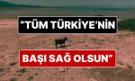 beysehir-golu-vefat-etti-tum-turkiyenin-basi-sag-olsun-lDpDfvPl.jpg