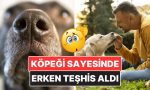 bir-adam-kopeginin-garip-davranislari-sayesinde-erken-kanser-teshisi-aldi-gerCakrW.jpg