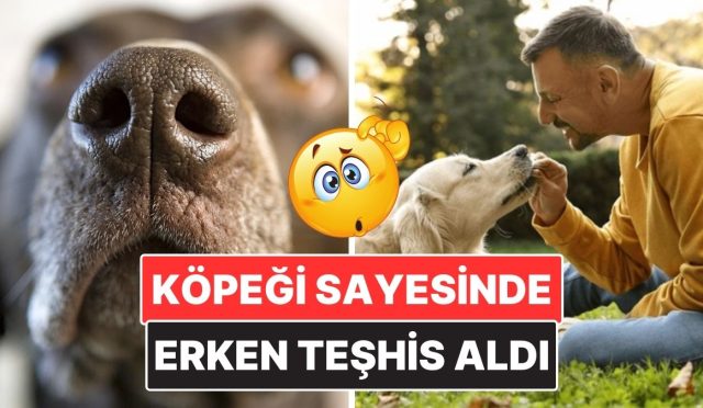 bir-adam-kopeginin-garip-davranislari-sayesinde-erken-kanser-teshisi-aldi-gerCakrW.jpg