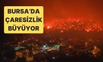 bursada-gursu-ve-kestel-ortasindaki-alanda-cikan-yangin-yerlesim-yerlerine-ulasti-9nfHScft.jpg