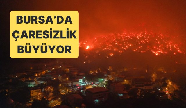 bursada-gursu-ve-kestel-ortasindaki-alanda-cikan-yangin-yerlesim-yerlerine-ulasti-9nfHScft.jpg