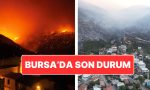 bursada-orman-yangini-yanginin-aci-boyutu-dun-agarinca-ortaya-cikti-NX1VVuuv.jpg