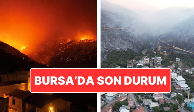 bursada-orman-yangini-yanginin-aci-boyutu-dun-agarinca-ortaya-cikti-NX1VVuuv.jpg