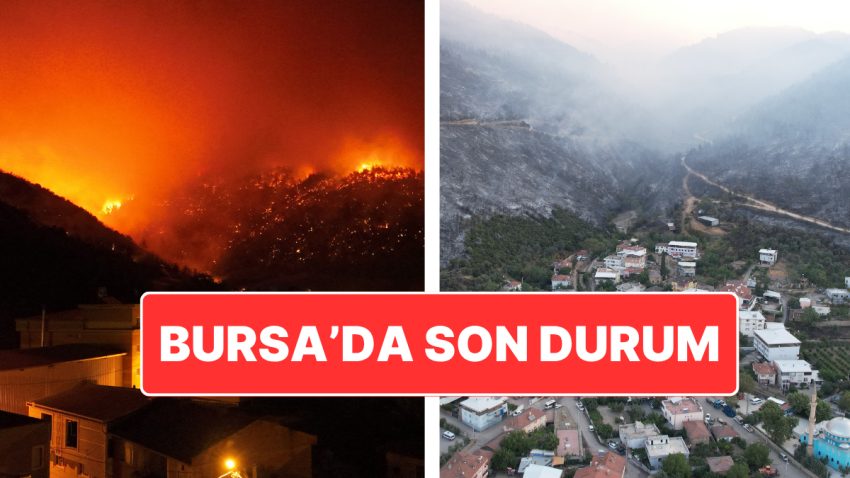 Bursa’da Orman Yangını: Yangının Acı Boyutu Dün Ağarınca Ortaya Çıktı