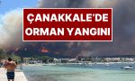 canakkalede-orman-yangini-gokyuzu-ve-deniz-kara-dumanlarla-kaplandi-validen-korkutan-aciklama-geldi-23YN8BZ2.jpg