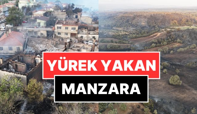 canakkaledeki-orman-yangininin-boyutu-gun-agarinca-ortaya-cikti-s5rSLZMl.jpg