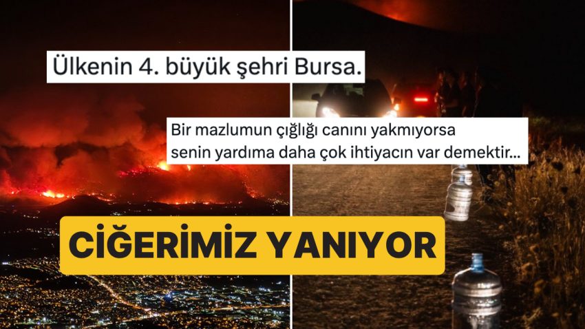 Ciğeri Yanan Vatandaşlarımızdan Günlerdir Süren Yangınlara Yansılar Dinmiyor