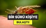 cinde-yeni-salgin-alarmi-sivrisinek-kaynakli-chikungunya-virusu-yayiliyor-x3qEC1zh.jpg