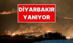 diyarbakirda-orman-yangini-imajlar-yanginin-boyutunu-gozler-onune-serdi-v9ZcyVJP.jpg
