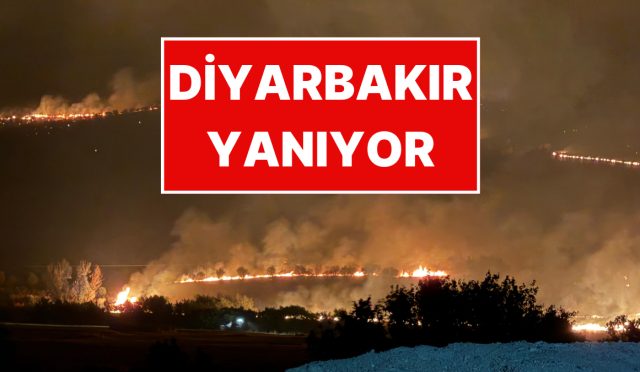 diyarbakirda-orman-yangini-imajlar-yanginin-boyutunu-gozler-onune-serdi-v9ZcyVJP.jpg