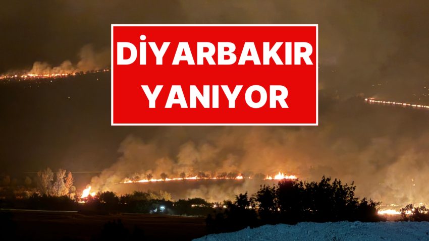 Diyarbakır’da Orman Yangını: İmajlar Yangının Boyutunu Gözler Önüne Serdi