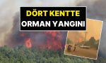 dort-kentte-orman-yangini-yangindan-manzaralar-yurekleri-agza-getirdi-RiwqZYiq.jpg