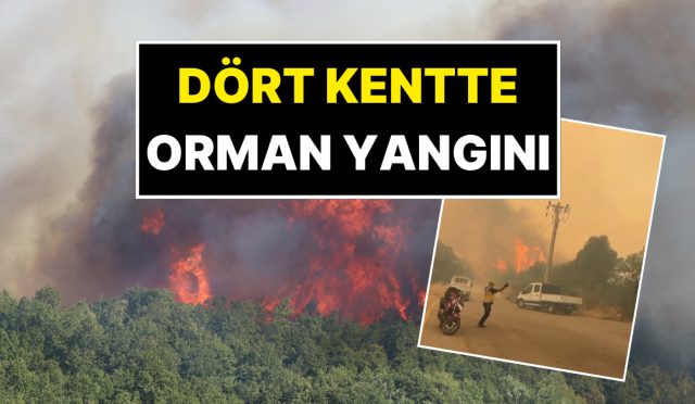 dort-kentte-orman-yangini-yangindan-manzaralar-yurekleri-agza-getirdi-RiwqZYiq.jpg
