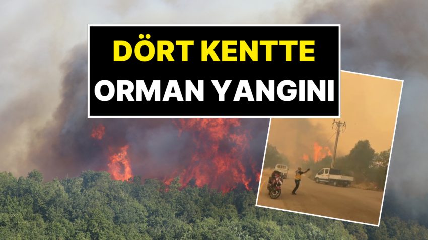 Dört Kentte Orman Yangını: Yangından Manzaralar Yürekleri Ağza Getirdi!