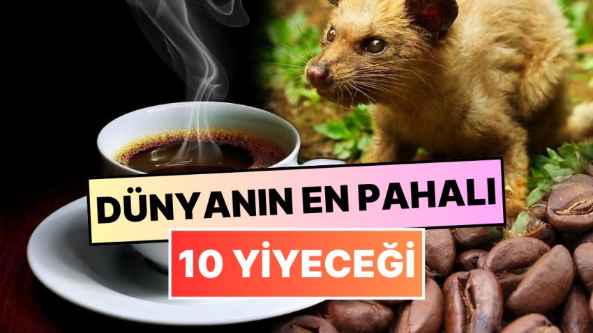 Dünyanın En Kıymetli 10 Yiyeceği: Bu Yemeklerin Tadına Bakmak Yürek İster!