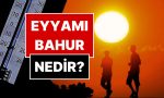 eyyami-bahur-nedir-eyyami-bahur-sicaklari-ne-vakit-tesirli-D5OTEhm1.jpg
