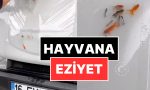 eziyet-akimi-arac-kaputuna-canli-balik-koyup-goruntu-cektiler-SVnfzNks.jpg