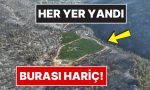 gorenleri-saskina-cevirdi-bursadaki-orman-yangininda-yemyesil-kalan-tek-nokta-9tKAbyKn.jpg