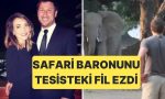guney-afrikada-av-ve-safari-tesisi-sahibi-ceo-fil-saldirisina-ugrayarak-hayatini-kaybetti-XGHsj8lA.jpg