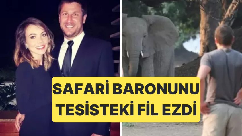Güney Afrika’da Av ve Safari Tesisi Sahibi CEO Fil Saldırısına Uğrayarak Hayatını Kaybetti