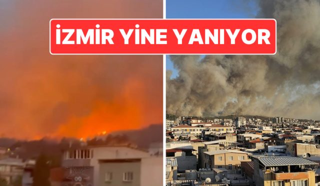 izmir-bucada-orman-yangini-minibuste-cikan-yangin-ormana-sicradi-Xw5JDsU8.jpg