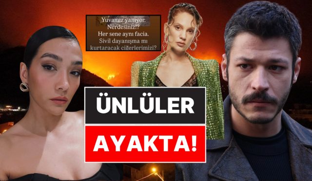 karabukten-bursaya-kadar-alevler-icindeyiz-turkiyeyi-saran-yanginlara-unlu-isimlerden-reaksiyon-yagiyor-a4NdtTzr.jpg