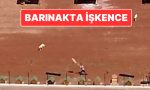 kars-belediyesine-iliskin-barinakta-kopeklere-iskence-belediye-baskani-otuken-sengerden-aciklama-geldi-AAYU6tzn.jpg