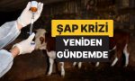 kars-ve-ardahanda-baslayan-hastalik-artvine-de-sicradi-uretici-ve-tuketiciler-telasli-2YIg9wzL.jpg