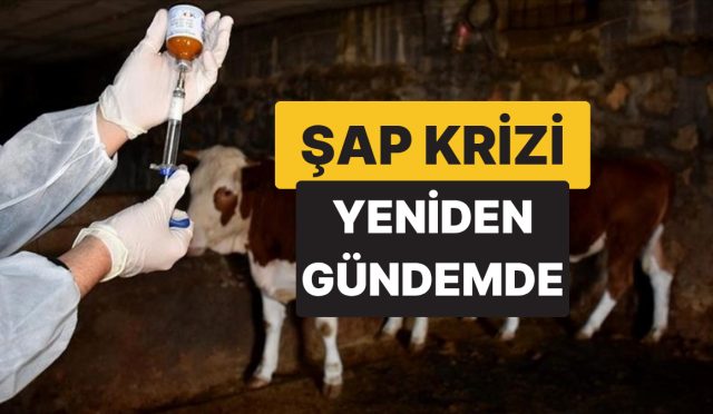 kars-ve-ardahanda-baslayan-hastalik-artvine-de-sicradi-uretici-ve-tuketiciler-telasli-2YIg9wzL.jpg
