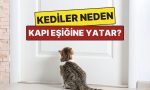 kedilerin-kapi-esiginde-yatmasinin-sasirtan-sebepleri-LrZkGFrI.jpg