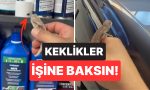 keklikler-isine-baksin-boceklerle-basa-cikmak-icin-bukalemun-kullanan-vatandas-guldurdu-qSYKAyvw.jpg