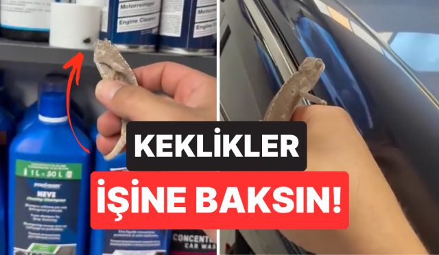 keklikler-isine-baksin-boceklerle-basa-cikmak-icin-bukalemun-kullanan-vatandas-guldurdu-qSYKAyvw.jpg